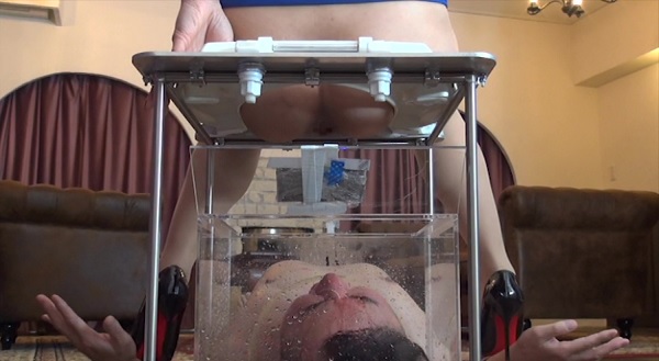 アキバブロードバンドビジョン/作品名「新・yapoo’s黄金伝説Special」サンプル画像5